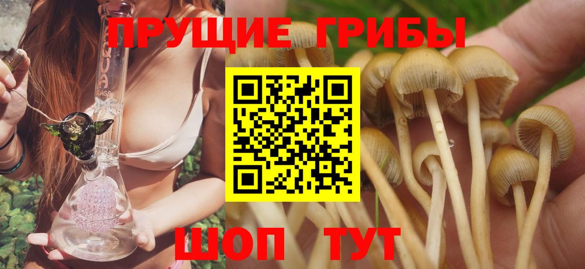 Псилоцибиновые грибы Magic Shrooms Скопин