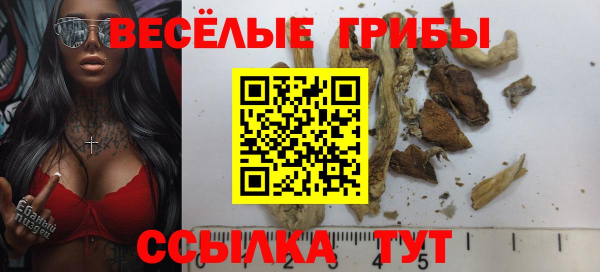 Галлюциногенные грибы Psilocybine cubensis  Вход с VPN  Скопин  как найти   Псилоцибиновые грибы Cubensis 
